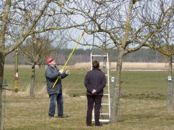 Baumschnittaktion  2010 01